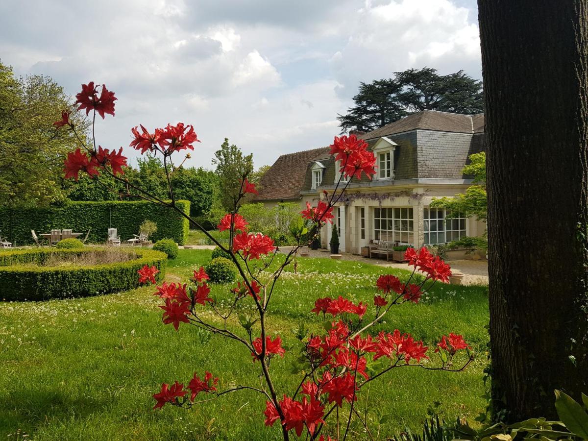 Bed and Breakfast La Taille De Biou Huisseau-sur-Cosson Екстер'єр фото