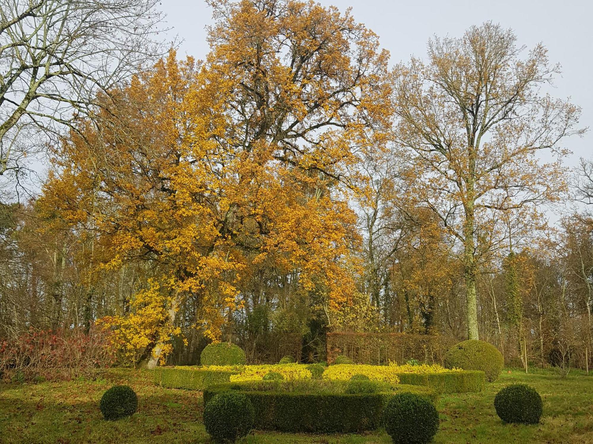 Bed and Breakfast La Taille De Biou Huisseau-sur-Cosson Екстер'єр фото